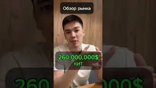 Обзор рынка. Кит залетел на 260,000,00$. Что будет дальше?