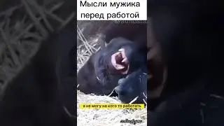 Мысли мужика / озвучка гориллы #юмор
