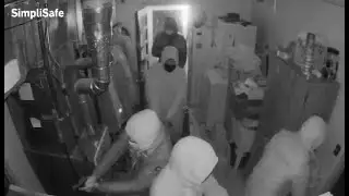 A Real Home Invasion in Illinois Caught on Camera