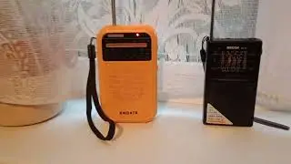 XHDATA D-220 vs Degen DE32