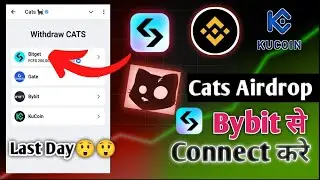 cats connect bitget wallet problem | cats bybit wallet connect | how to get bybit wallet address