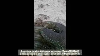 Поиск с прибором Макро Мульти Крузер