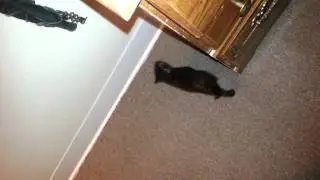 2013 06 07 07 05 20