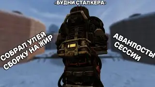 «БУДНИ СТАЛКЕРА» СОБРАЛ УЛЕЙ И СДЕЛАЛ СБОРКУ НА ЖИР В STALCRAFT X / +КОНКУРС НА 10КК