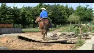 Extreme Trail Champion Mark Bolender Amazing Horse Training Showcase