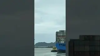 Контейнерные Морские Линии.