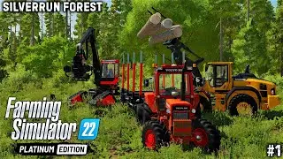 НАЧАЛО ЗАГОТОВКИ ЛЕСА | Farming Simulator 22 | Silverrun Forest - Timelapse #1