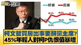 柯文哲買房出事要辭黨主席？45%年輕人對柯P仇恨值暴增 新聞大白話 20240826