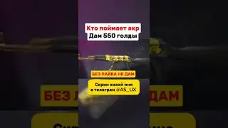 20 августа 2024 г.