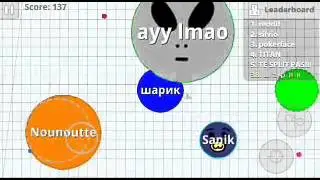 Обзор агарио