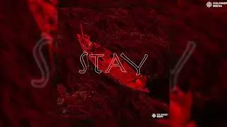 Suleyman Toka - Stay