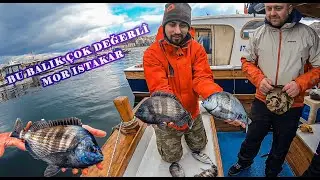 BU BALIK ÇOK DEĞERLİ !!! Mor Istakar Avı