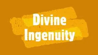 Genshin Impact: Divine Ingenuity - Time to be a PRO GAMER...