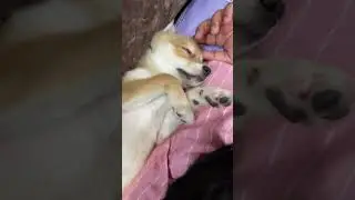 Danny sleeps on kaka head #funny #videos #subscribe #viral #trend #funnyvideo #inspire #aspirant