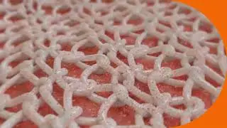 BD Phasix Mesh with P4HB Technology