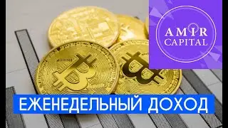 AMIR CAPITAL – ЕЖЕНЕДЕЛЬНАЯ ДОХОДНОСТЬ НАКОПИТЕЛЬНОГО СЧЁТА. КАК ПОПОЛНИТЬ БАЛАНС ЧЕРЕЗ USDT TRC-20