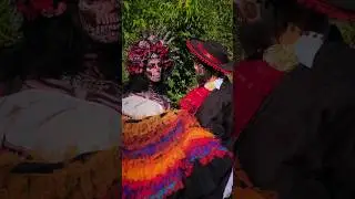 MEXICANA ASOKA 