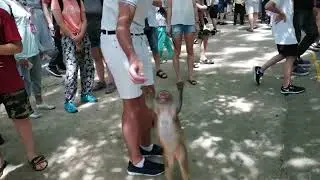 China 20190715 111533