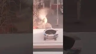 Синица