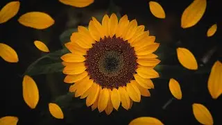 Evren Furtuna - Marsh - Tim Green - All Day I Dream · Joy | Lotus Radio 03 Zahand Deep House Mix