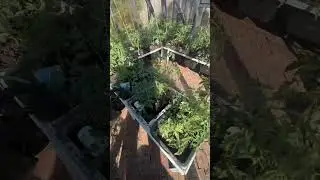 Как понять, что тебе больше 30? Сколько помидоров вы уже посадили?