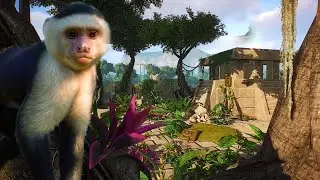 Planet Zoo South American DLC | Planet Zoo New DLC