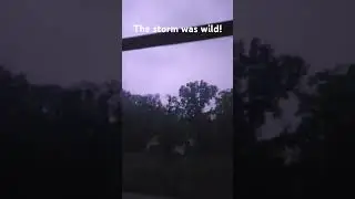 The storm last night was wild!