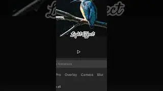 Capcut effects #capcut #effects #shorts