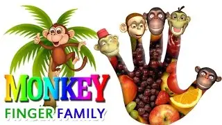 Monkey Finger Family || Finger Family || Nursery Rhymes