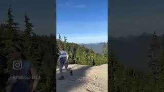 Hiked up Mount Seymour. Beautiful Dog Friendly Hike in Vancouver, BC! 🏔️🐾 Feeling so blessed! ✨