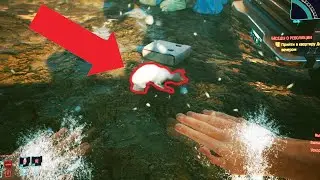 Cyberpunk 2077 I underwater cat I подводный кот