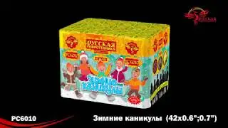 Зимние каникулы PC 6010  салют РУССКАЯ ПИРОТЕХНИКА NEW