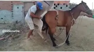 Прикол
