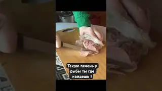 Печень налима 🐟