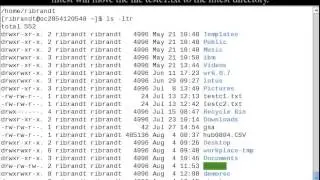 Linux Command (Mv)