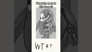 What the Heck Is The Image? #shorts #animation