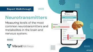 Vibrant's Neurotransmitters - Report Walkthrough