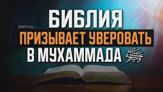 Библия призывает уверовать в Пророка Мухаммада ﷺ