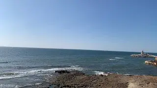 Botany After Class with      sea view  with love | Botany class | LIVE 🔴