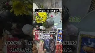 С МИНУТЫ НА МИНУТУ 🌪️❤️‍🔥🙋🏻‍♀️|Тпро