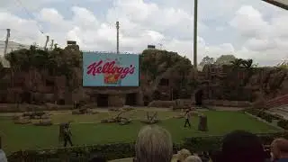 Wings Of The World - Wider View Full Performance - Bird Paradise 2023