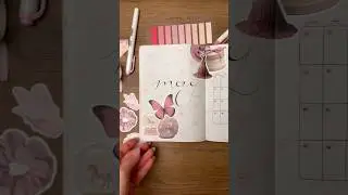 my new monthly bullet journal setup fliptrough 🎀 pink bujo plan with me #bulletjournal #shorts