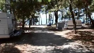 Camp site Pineta - Savudria  - Istria