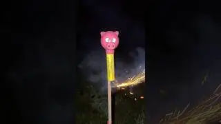 Pigs Can Fly 