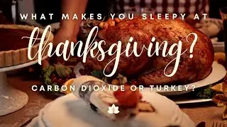 Why Do You Get Sleepy After Thanksgiving Dinner? Turkey or CO2?