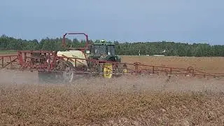 Картофель. Десикация ботвы.