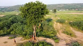 Dji Mavic Mini Shots | Drone Shots