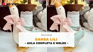 🔴LIVE GANSA LILI DE ESTIMAÇÃO PARA SUAS BONECAS DE PANO - Aula completa e molde | Café com Drica