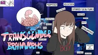 Transgender Brainworms