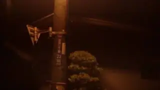 Gen Uchiha - Black Friday (Video)